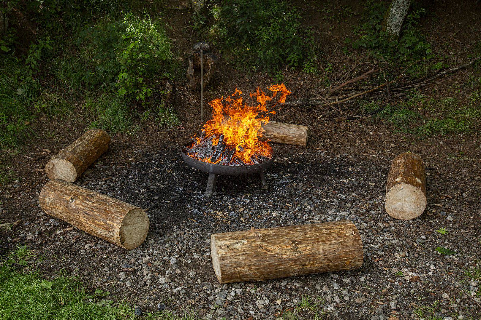 Lagerfeuer mit Baumstämmen als Sitzgelegenheiten im Grünen.