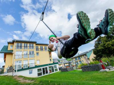 Flying Fox