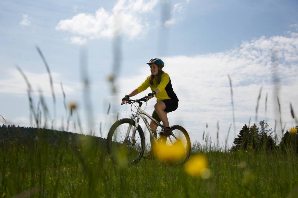 Bikeparks & Mountainbike-Kurse - Engel Todtnauberg Webseite