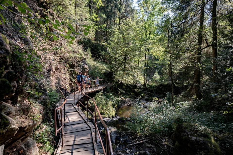 Ravennaschlucht - hochschwarzwald.de