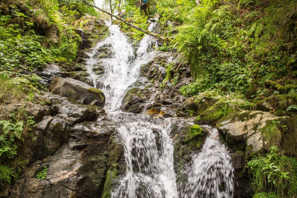 Schluchting mit Naturpark-Guide Markus: Ein Erlebnis für mutige Entdecker – mit Anmeldung - Engel Todtnauberg Webseite