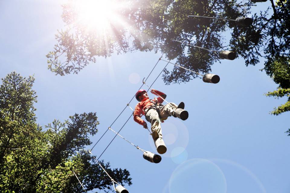 Action Forest – dein Kletterwald im Schwarzwald: Für Kinder ab 6 Jahren - Engel Todtnauberg Webseite