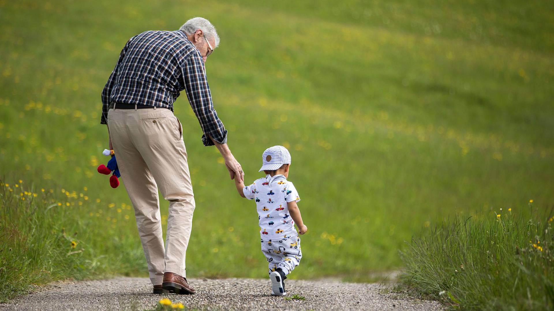 Opa spaziert mit kleinem jungen über Wiesenweg