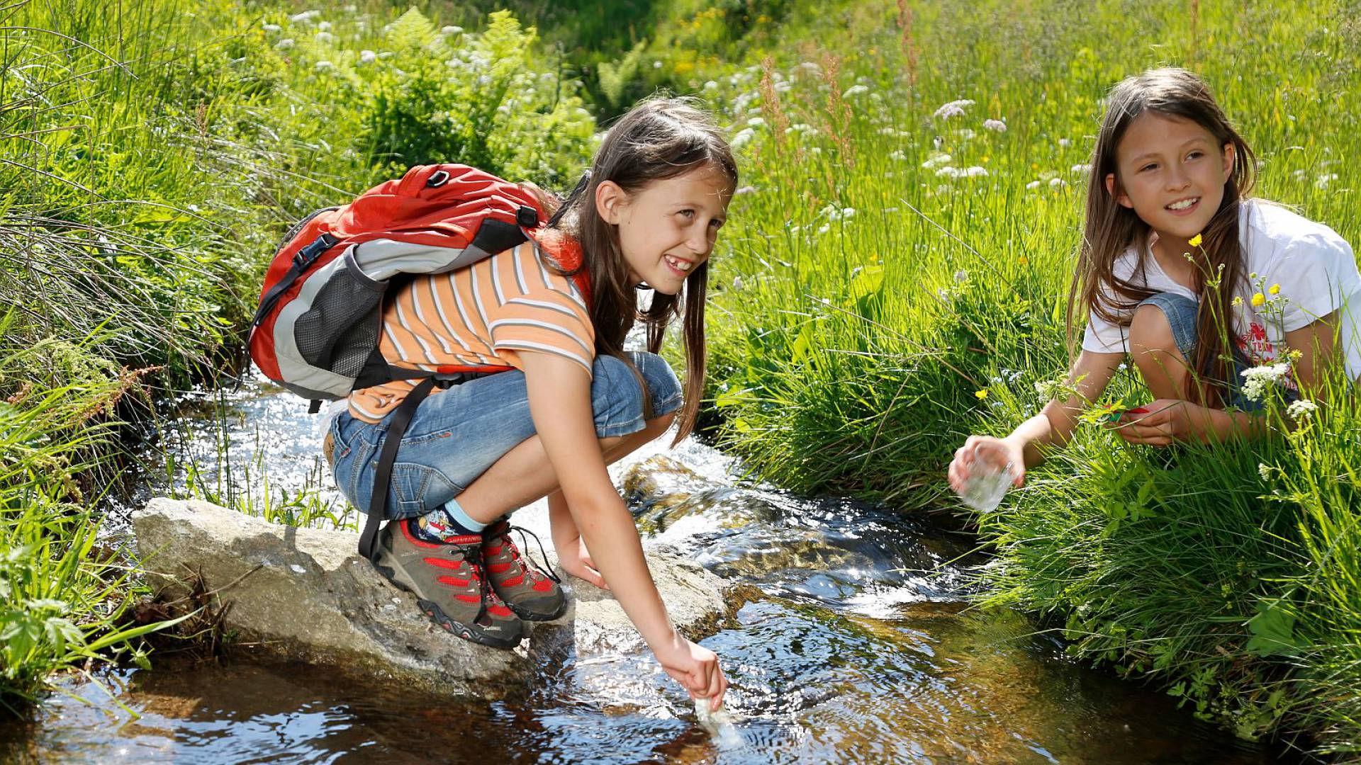 Zwei Mädchen untersuchen im Bach das Wasser mit Gläsern bei schönem Sonnenschein