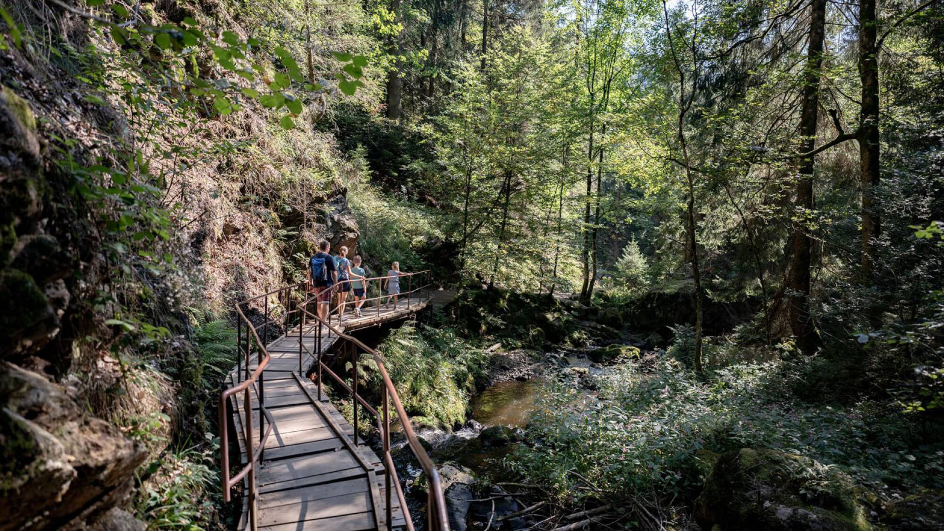 Ravennaschlucht - hochschwarzwald.de