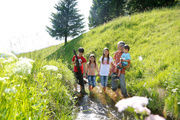 Sommer Hochschwarzwald