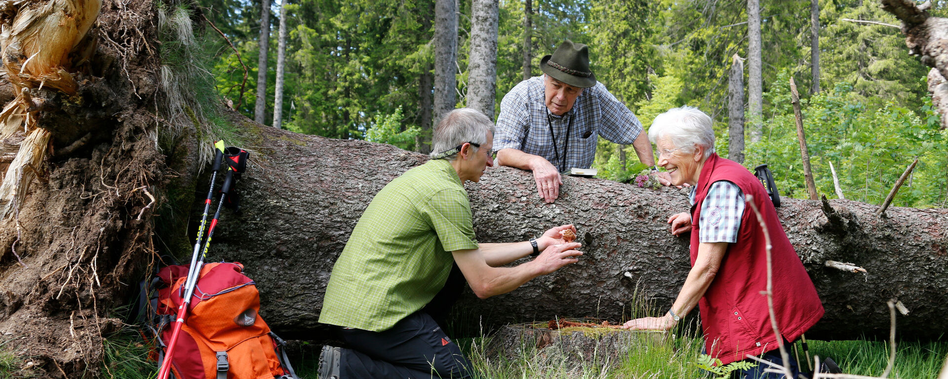 Naturerlebnis für Großeltern