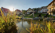 Teich