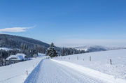 Winter Schwarzwald
